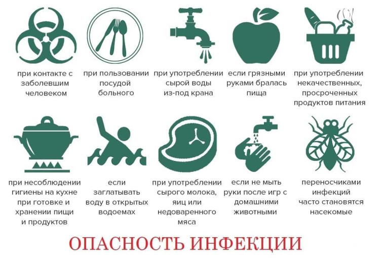 Профилактика кишечных инфекций Профилактика кишечных инфекций.