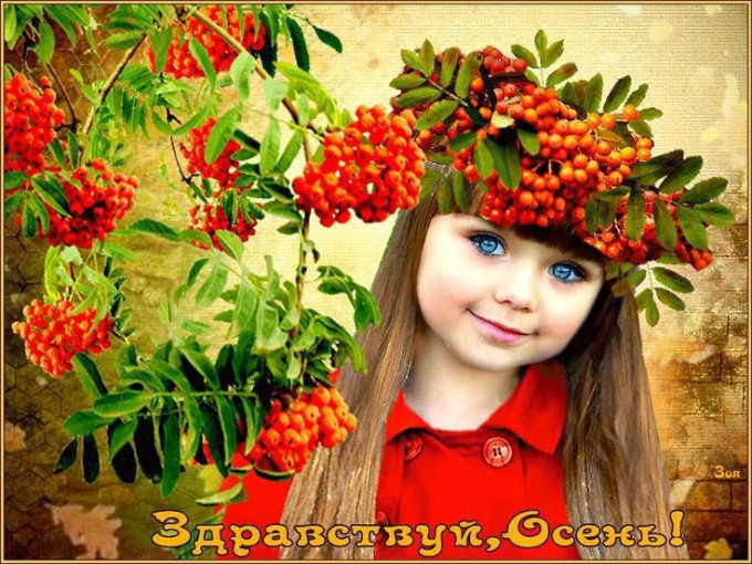 Именины у Рябины Именины у Рябины.